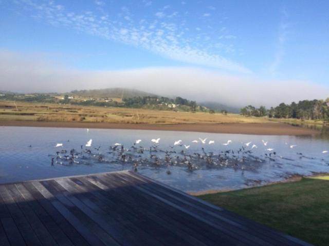 Moonriver Self Catering Plettenbergbaai Buitenkant foto